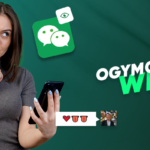 OgyMogy WeChat tracker helps you uncover hidden activity